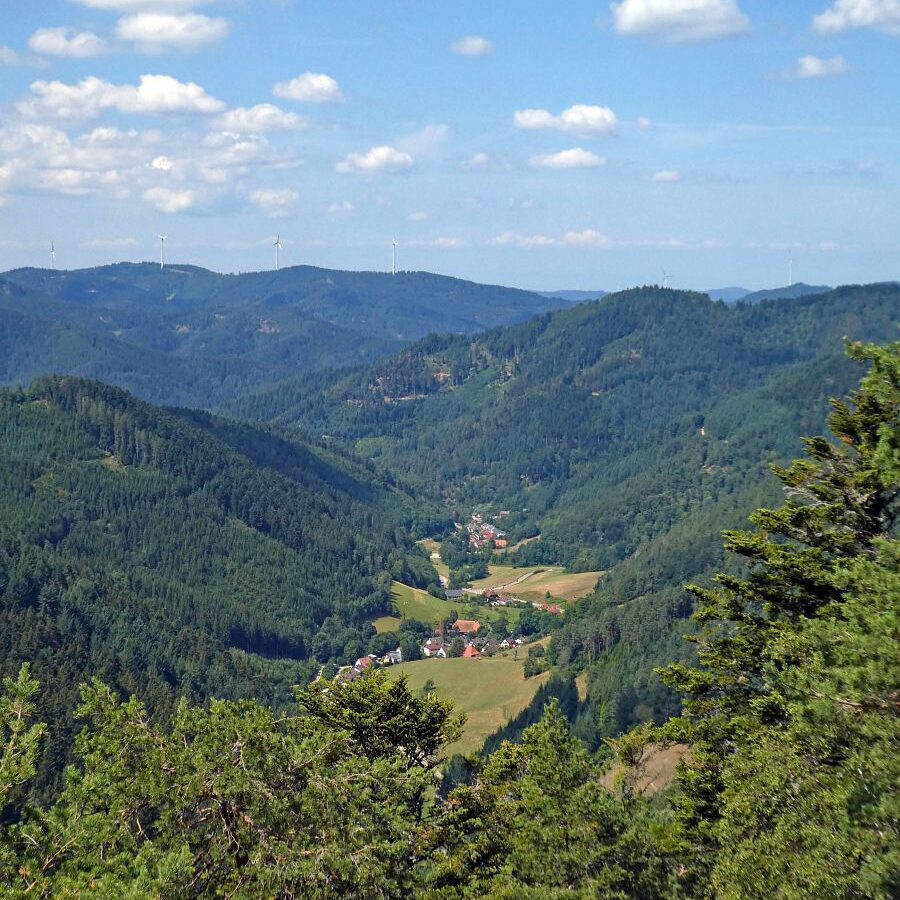 Falken Apfelfelsen Bremenloch 14