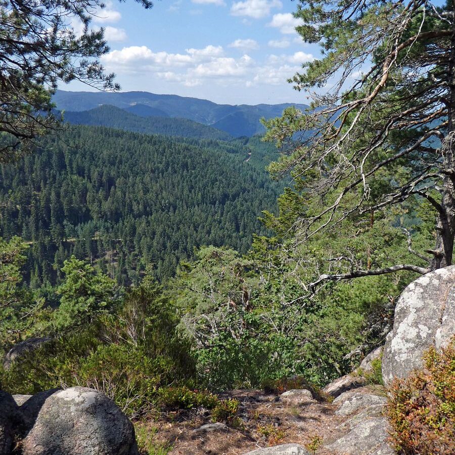 Falken Apfelfelsen Bremenloch 15