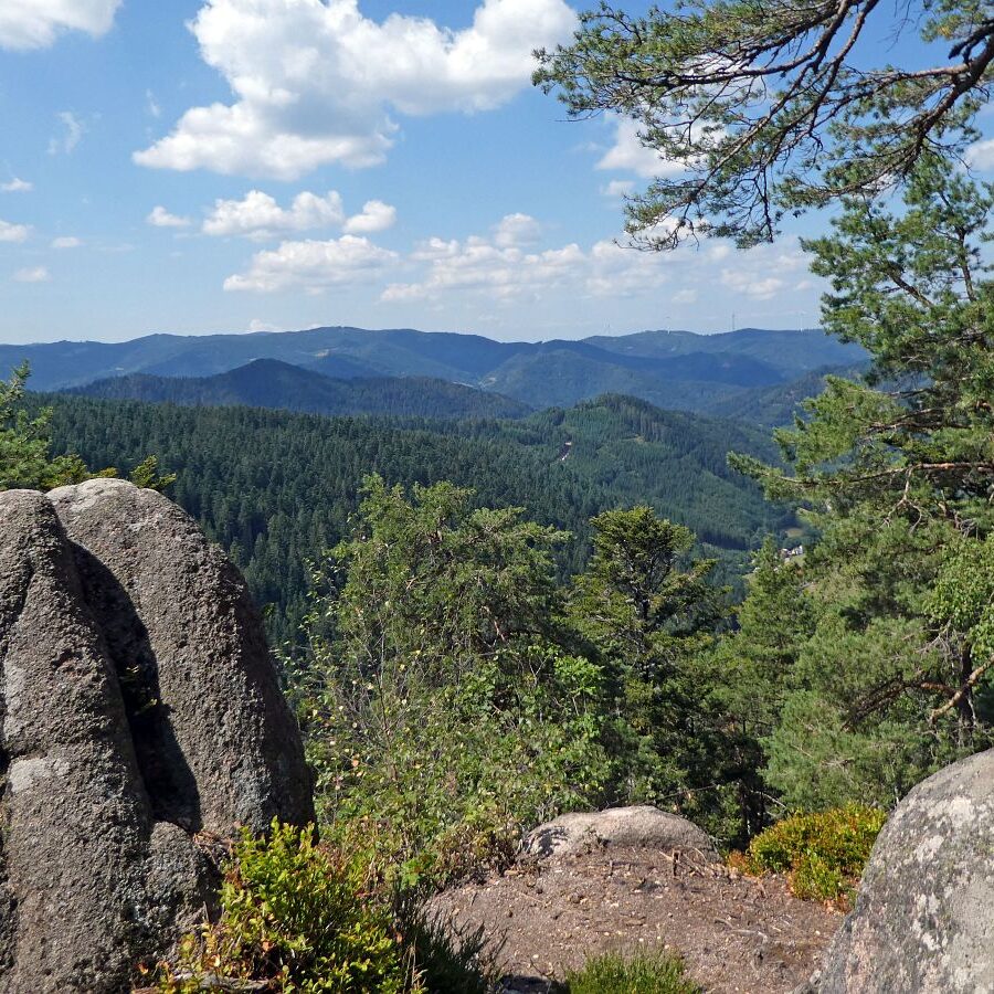 Falken Apfelfelsen Bremenloch 17