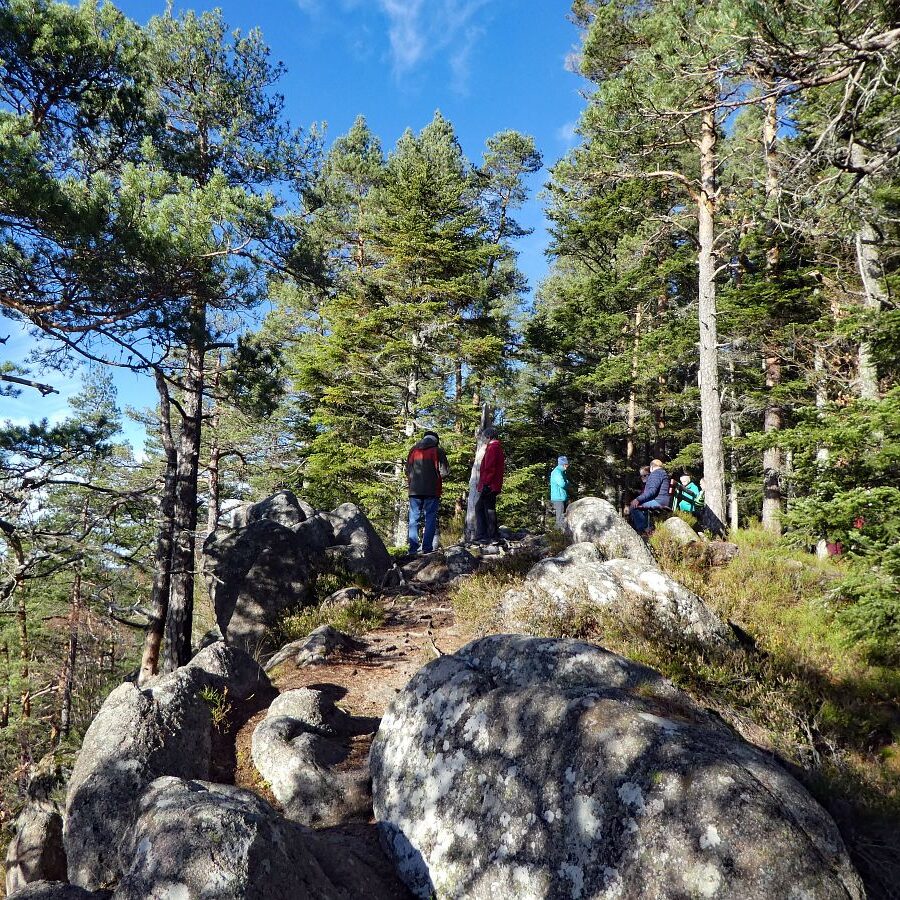 Falken Apfelfelsen Bremenloch 19