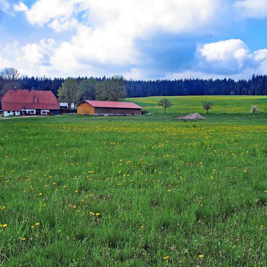 Falken Apfelfelsen Bremenloch 2