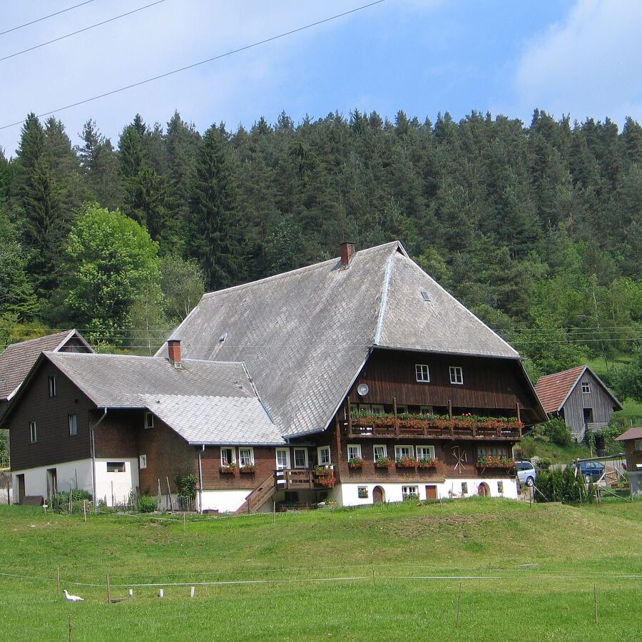 Falken Apfelfelsen Bremenloch 20