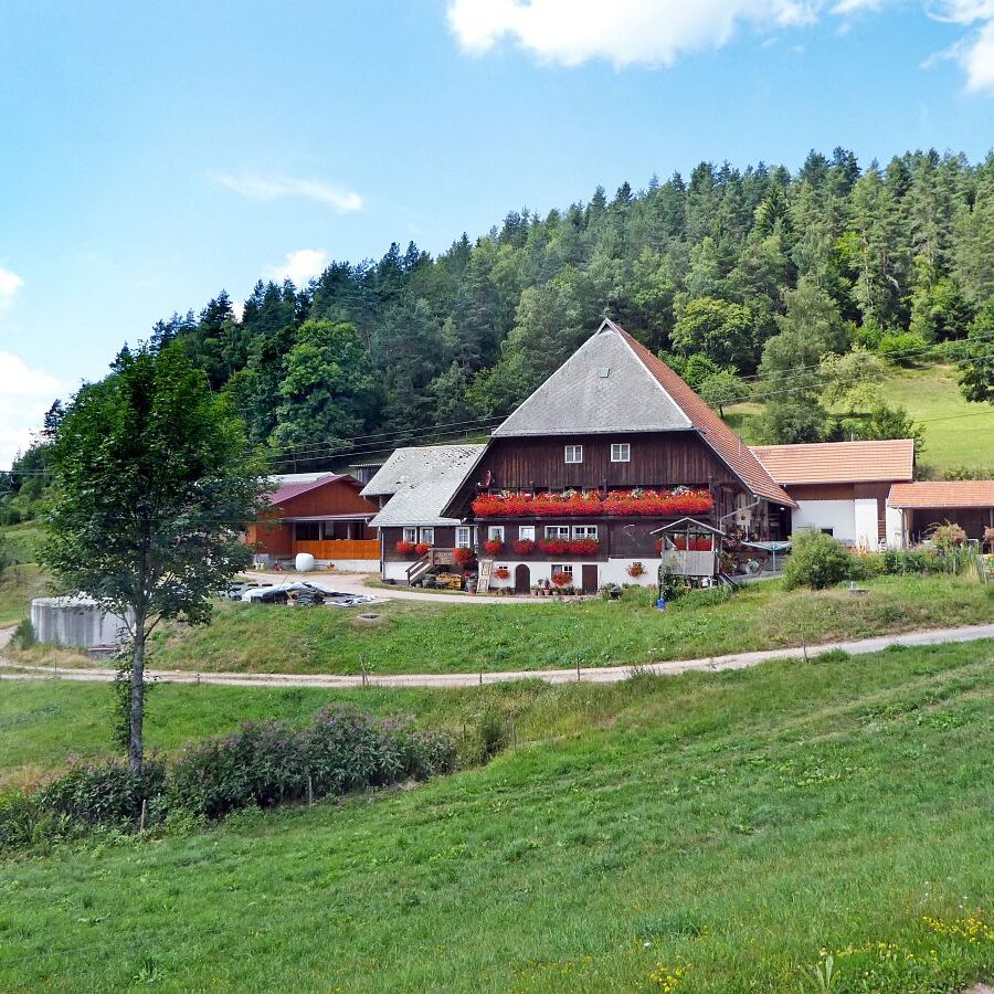 Falken Apfelfelsen Bremenloch 21