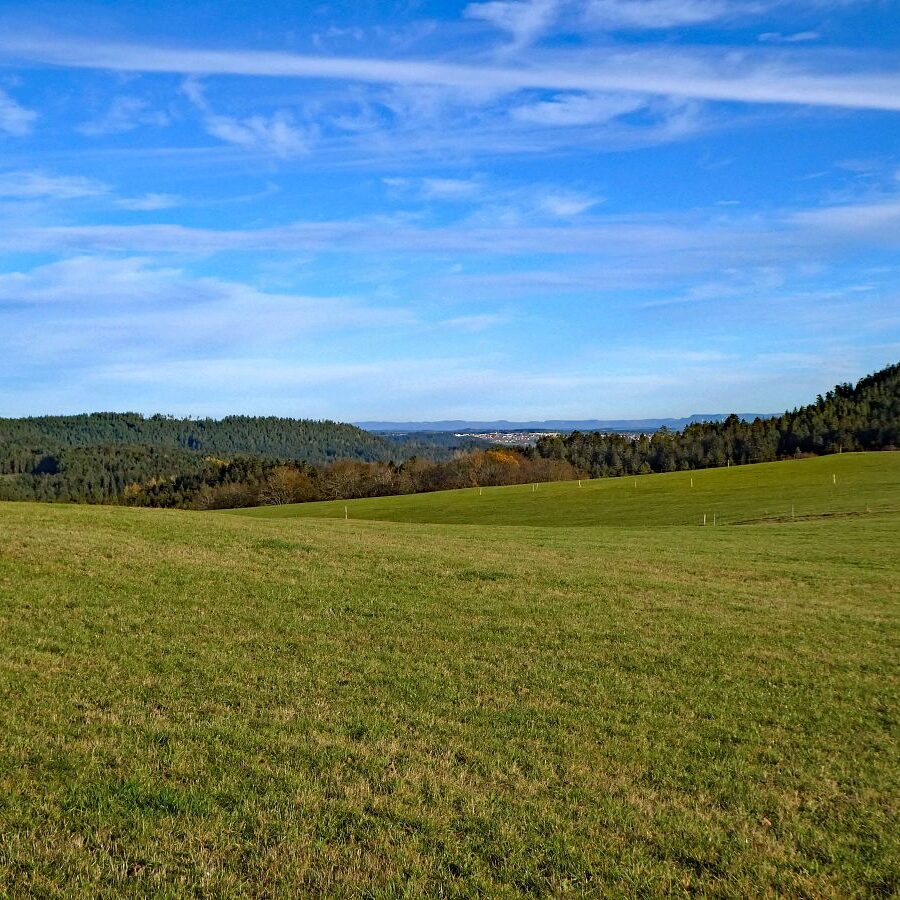 Falken Apfelfelsen Bremenloch 23