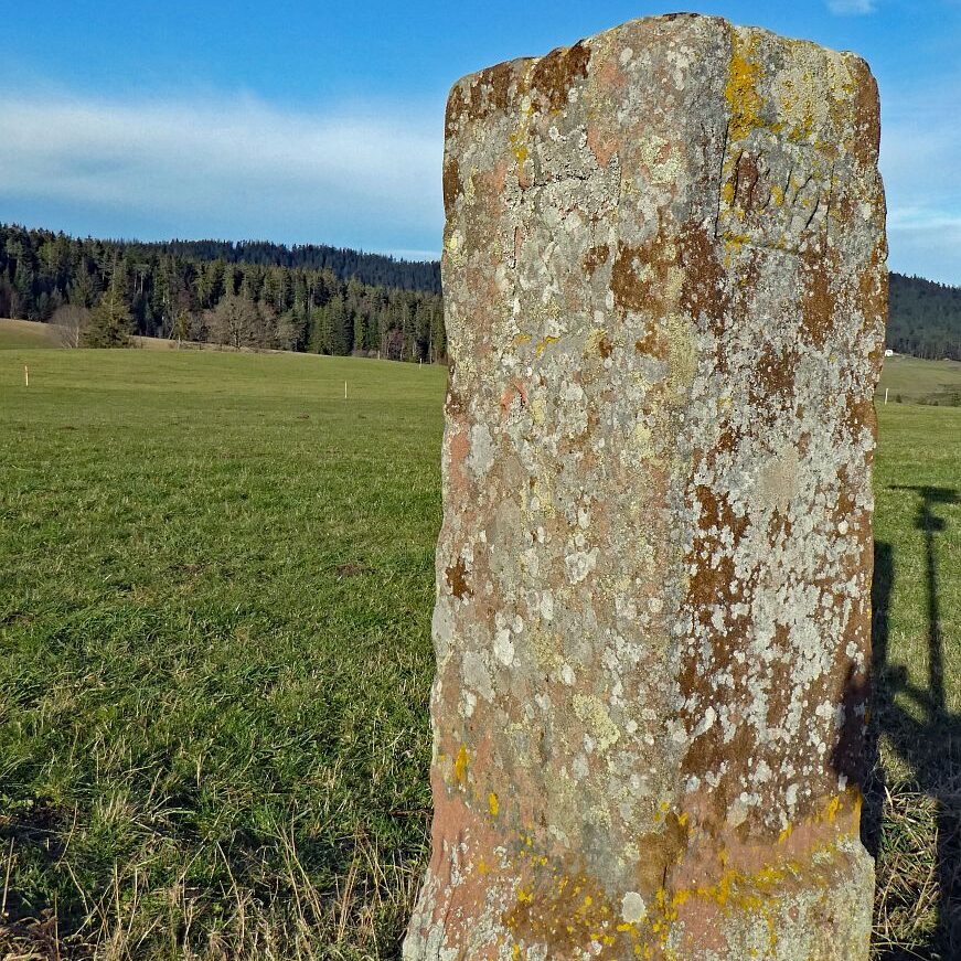 Falken Apfelfelsen Bremenloch 24