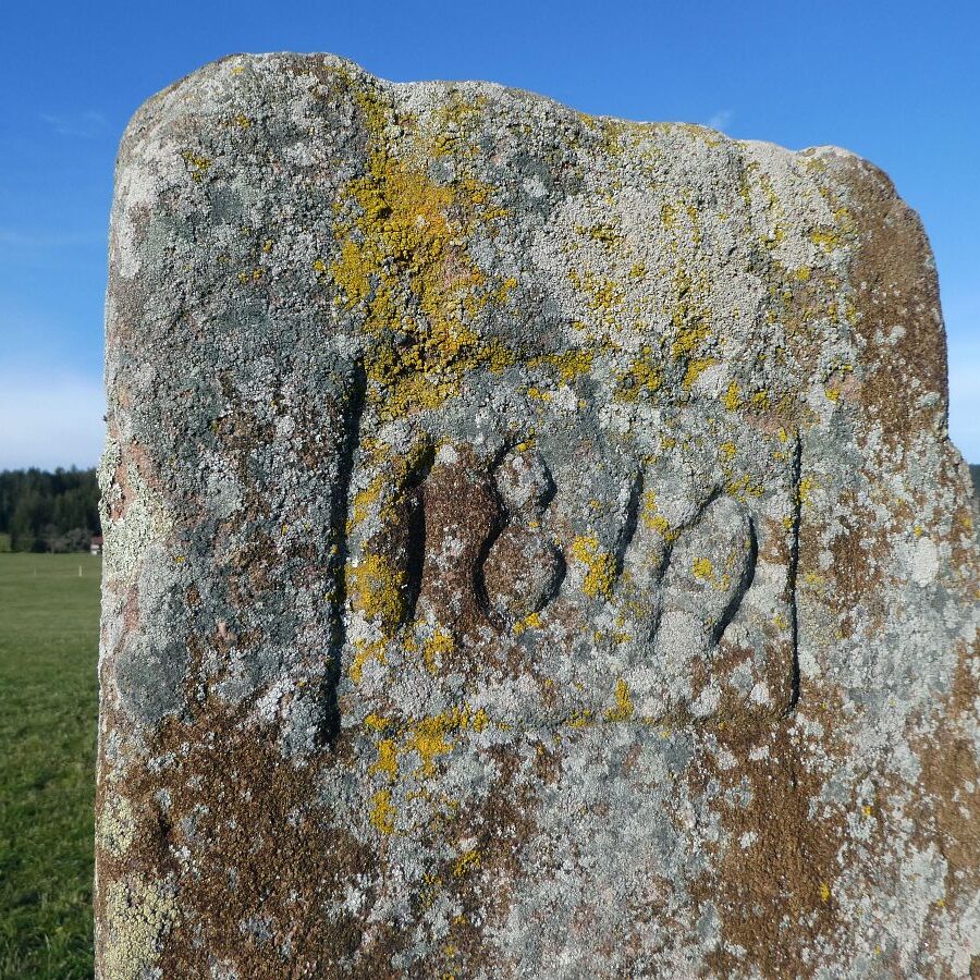Falken Apfelfelsen Bremenloch 25