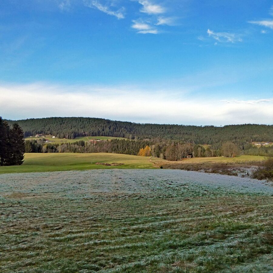 Falken Apfelfelsen Bremenloch 26
