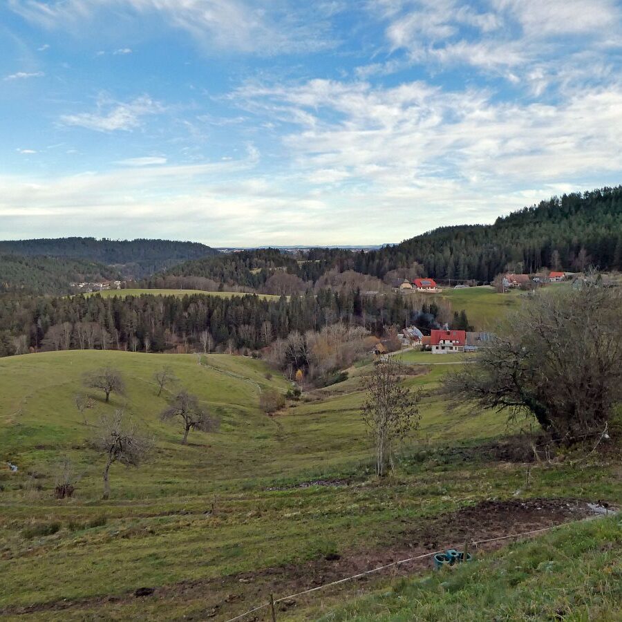 Falken Apfelfelsen Bremenloch 28