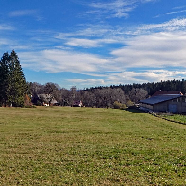 Falken Apfelfelsen Bremenloch 3