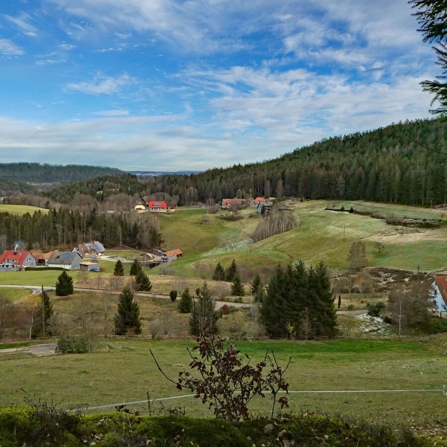 Falken Apfelfelsen Bremenloch 31