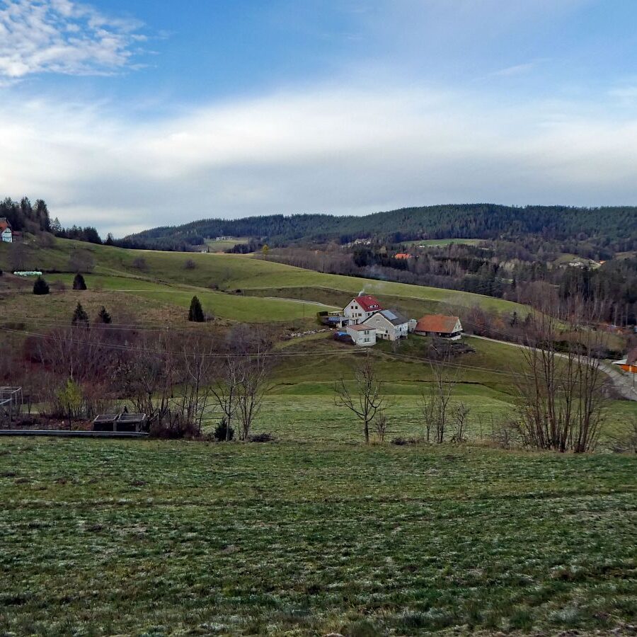 Falken Apfelfelsen Bremenloch 32