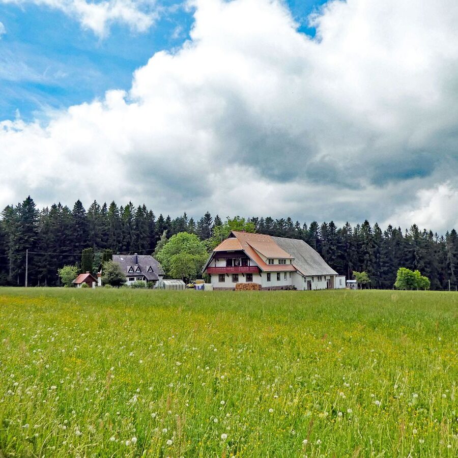 Falken Apfelfelsen Bremenloch 34