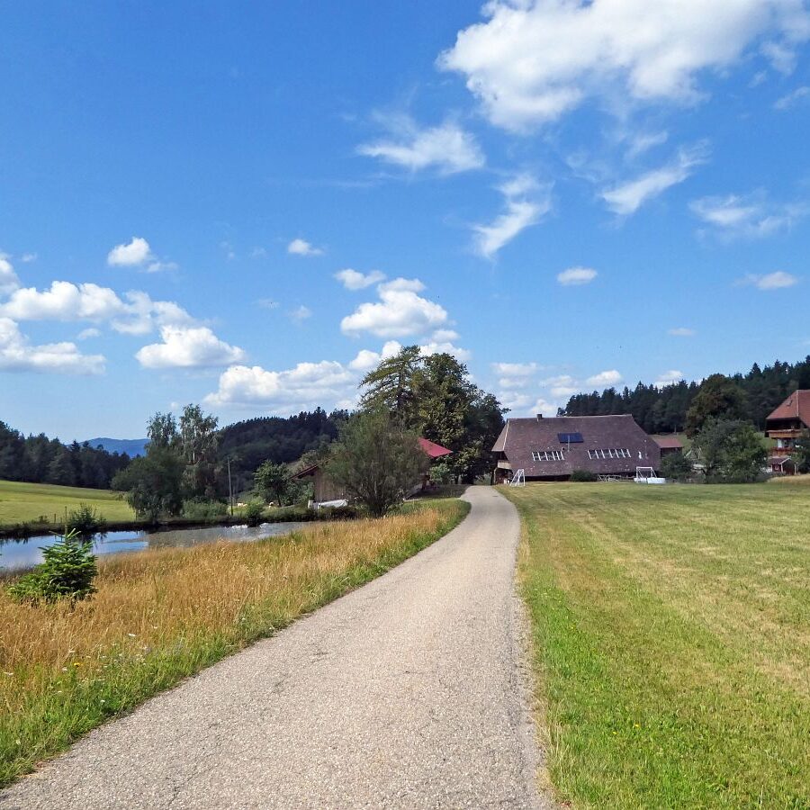 Falken Apfelfelsen Bremenloch 4