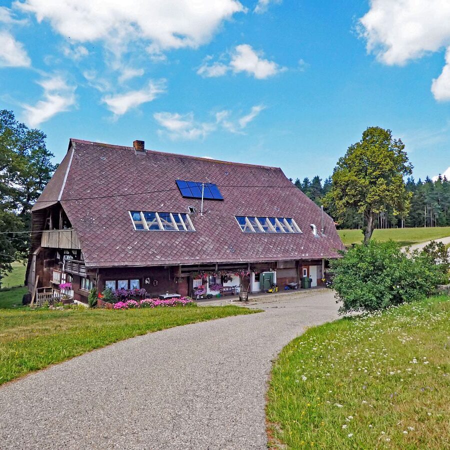 Falken Apfelfelsen Bremenloch 5