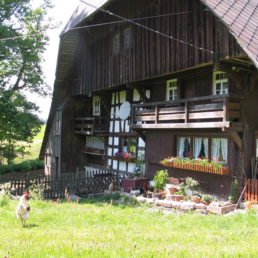 Falken Apfelfelsen Bremenloch 6