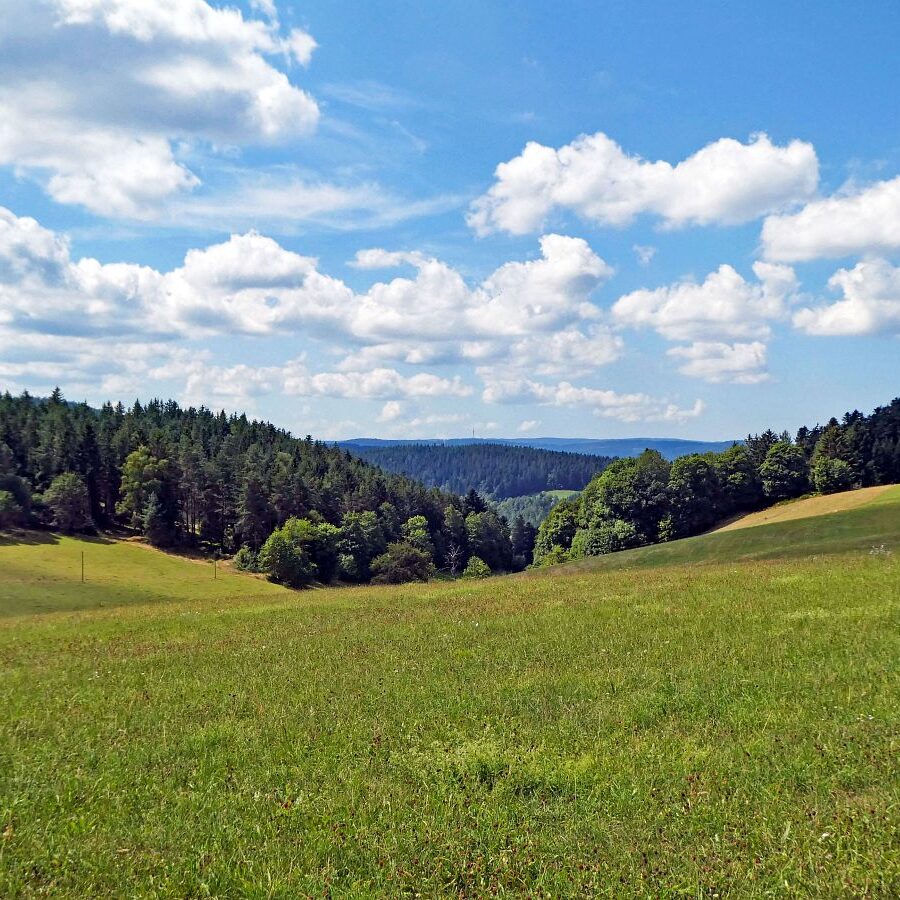 Falken Apfelfelsen Bremenloch 9