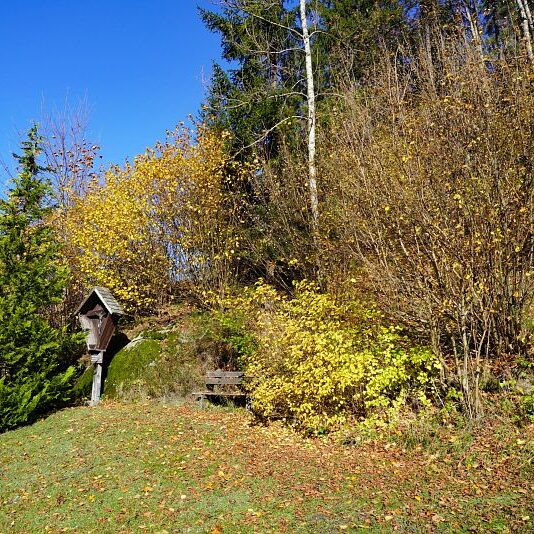 Herbst Tennenbronn Schwarzenbach Mooshof Purpen Berneck 1