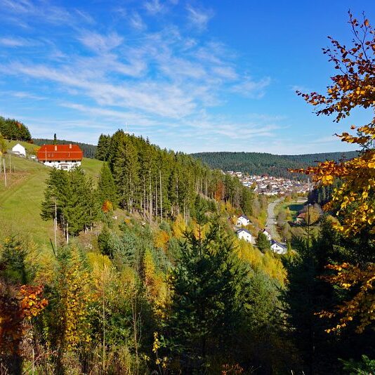 Herbst Tennenbronn Schwarzenbach Mooshof Purpen Berneck 10