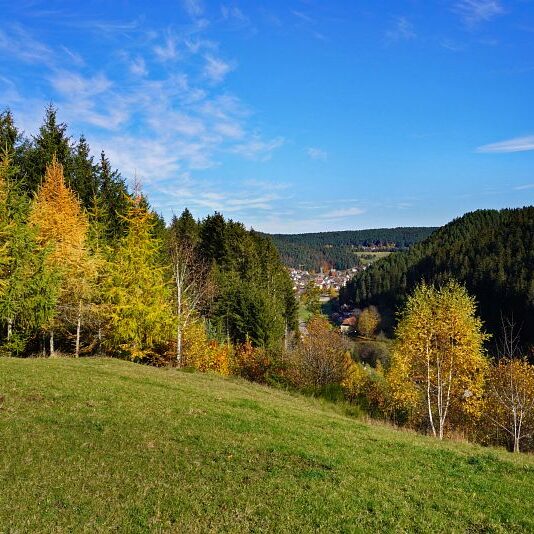 Herbst Tennenbronn Schwarzenbach Mooshof Purpen Berneck 11