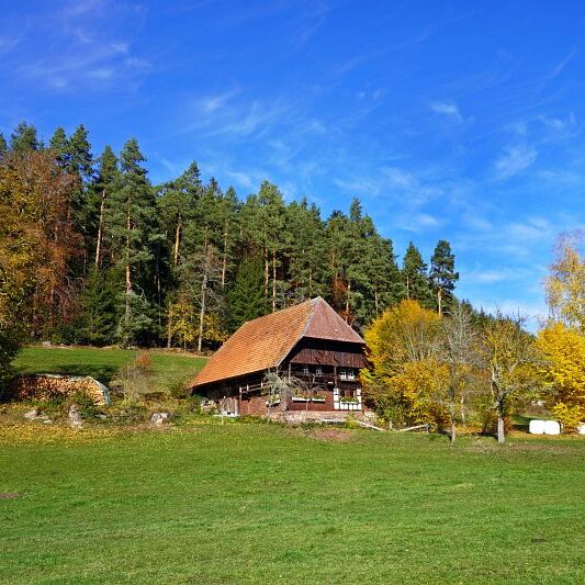 Herbst Tennenbronn Schwarzenbach Mooshof Purpen Berneck 12