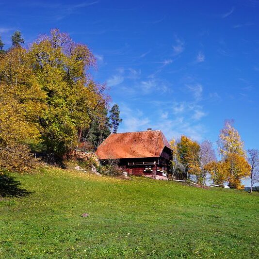 Herbst Tennenbronn Schwarzenbach Mooshof Purpen Berneck 13