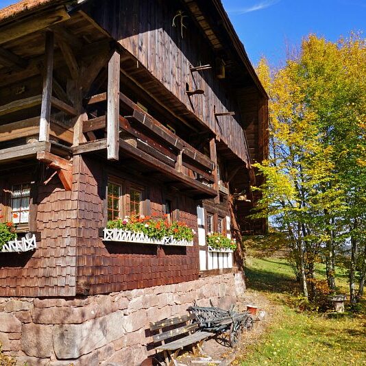 Herbst Tennenbronn Schwarzenbach Mooshof Purpen Berneck 14