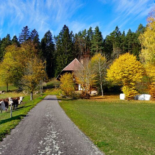 Herbst Tennenbronn Schwarzenbach Mooshof Purpen Berneck 15