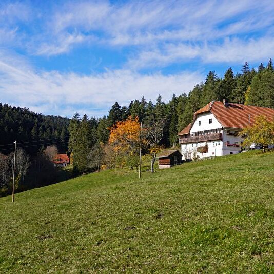 Herbst Tennenbronn Schwarzenbach Mooshof Purpen Berneck 16