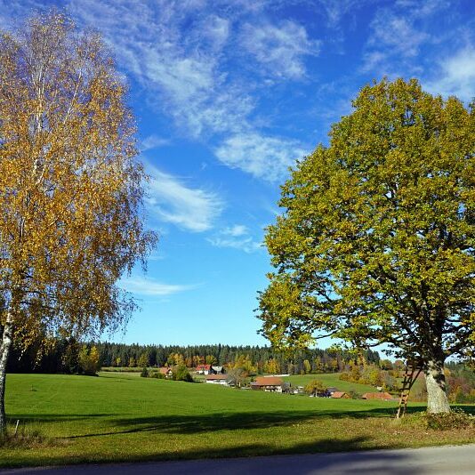 Herbst Tennenbronn Schwarzenbach Mooshof Purpen Berneck 17
