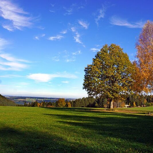 Herbst Tennenbronn Schwarzenbach Mooshof Purpen Berneck 18