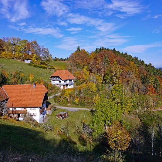 Herbst Tennenbronn Schwarzenbach Mooshof Purpen Berneck 19