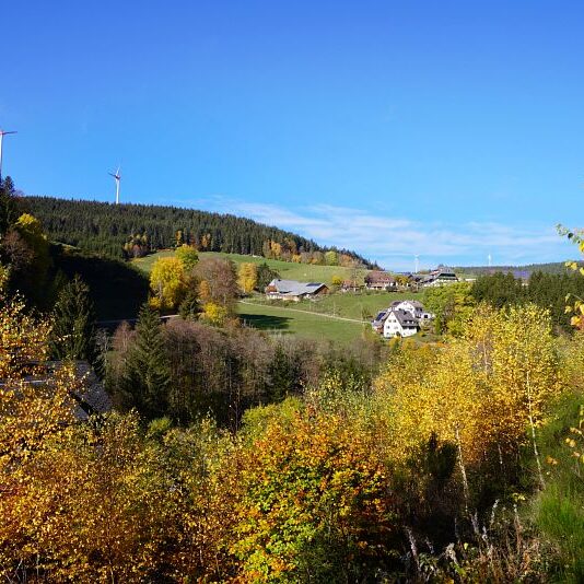 Herbst Tennenbronn Schwarzenbach Mooshof Purpen Berneck 2