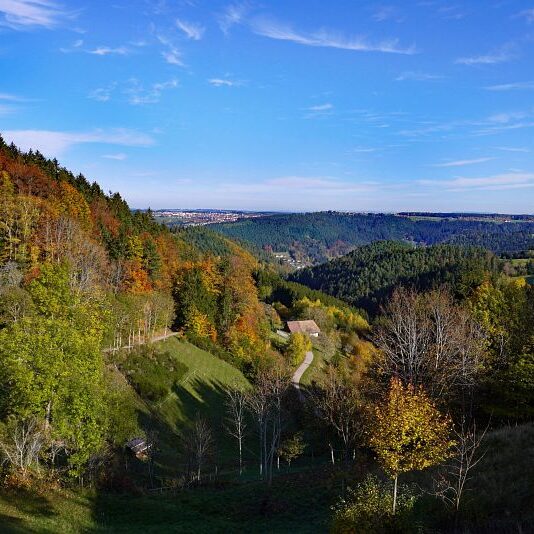 Herbst Tennenbronn Schwarzenbach Mooshof Purpen Berneck 20