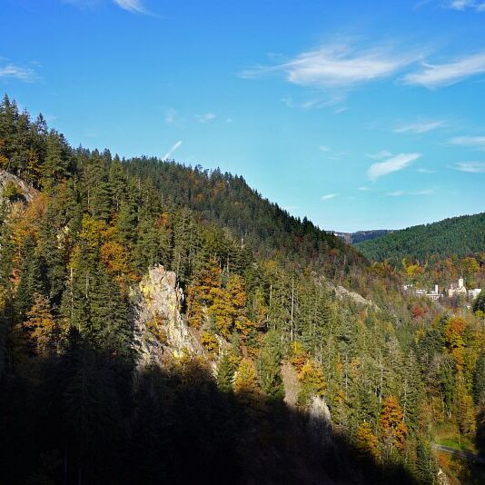 Herbst Tennenbronn Schwarzenbach Mooshof Purpen Berneck 21