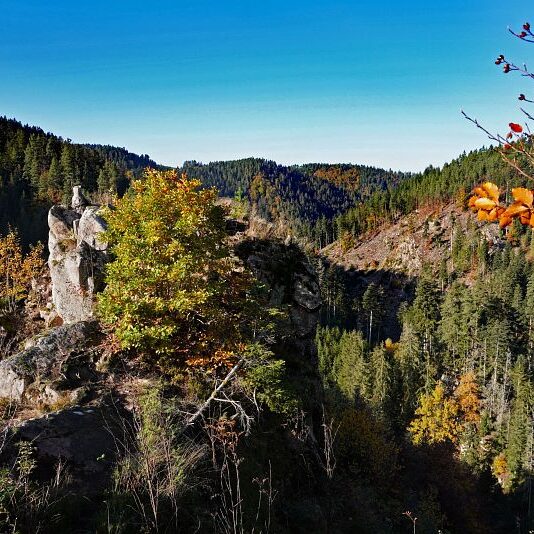 Herbst Tennenbronn Schwarzenbach Mooshof Purpen Berneck 23