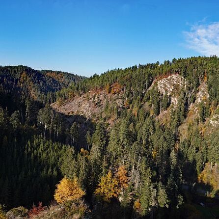 Herbst Tennenbronn Schwarzenbach Mooshof Purpen Berneck 24