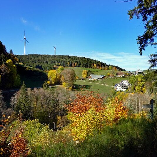 Herbst Tennenbronn Schwarzenbach Mooshof Purpen Berneck 3