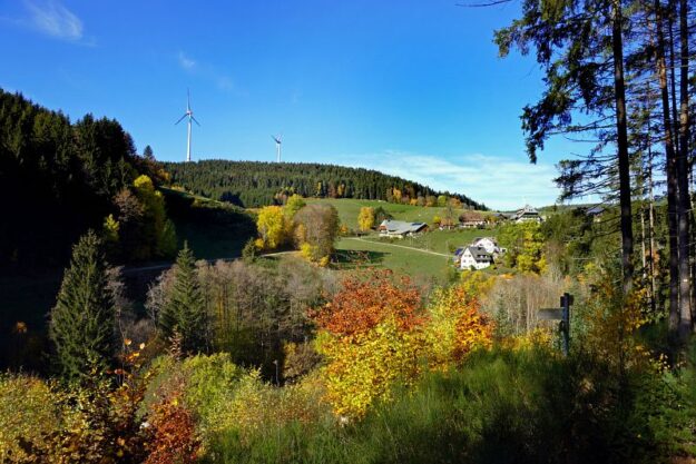 Herbst Tennenbronn Schwarzenbach Mooshof Purpen Berneck 3