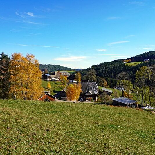 Herbst Tennenbronn Schwarzenbach Mooshof Purpen Berneck 4