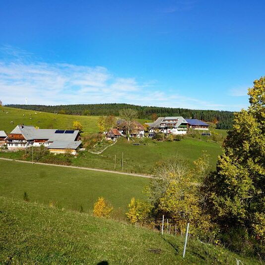 Herbst Tennenbronn Schwarzenbach Mooshof Purpen Berneck 6