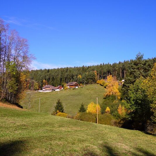 Herbst Tennenbronn Schwarzenbach Mooshof Purpen Berneck 7
