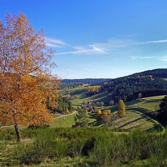 Herbst Tennenbronn Schwarzenbach Mooshof Purpen Berneck 8