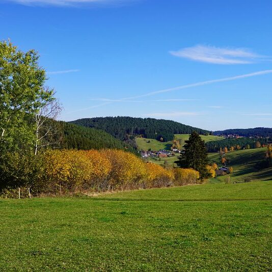 Herbst Tennenbronn Schwarzenbach Mooshof Purpen Berneck 9