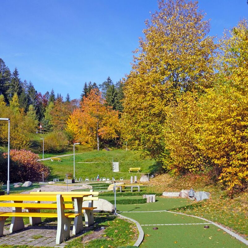 Herbst Tennenbronn Wiesenbauerndobel 10