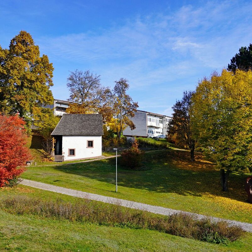 Herbst Tennenbronn Wiesenbauerndobel 3