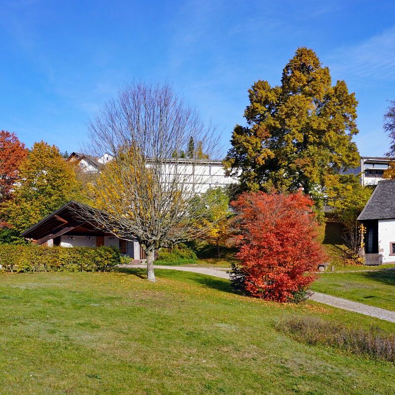 Herbst Tennenbronn Wiesenbauerndobel 4