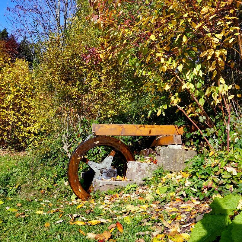 Herbst Tennenbronn Wiesenbauerndobel 8