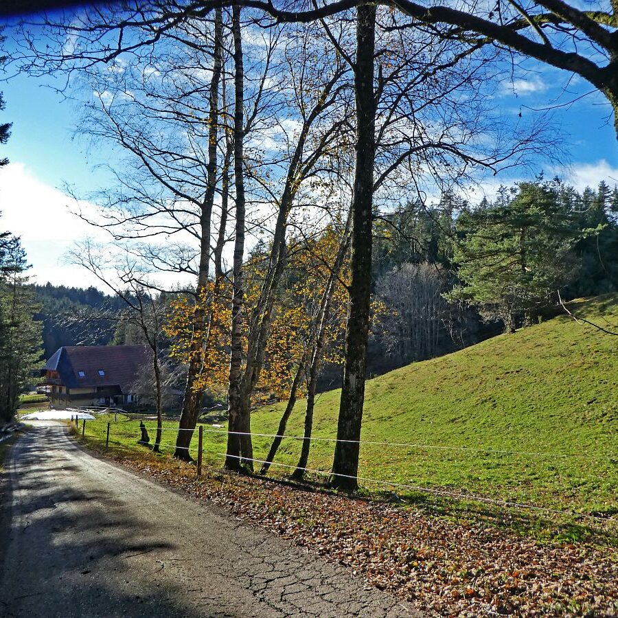 Wanderparkplatz Falken Apfelfelsen Bremenloch 14