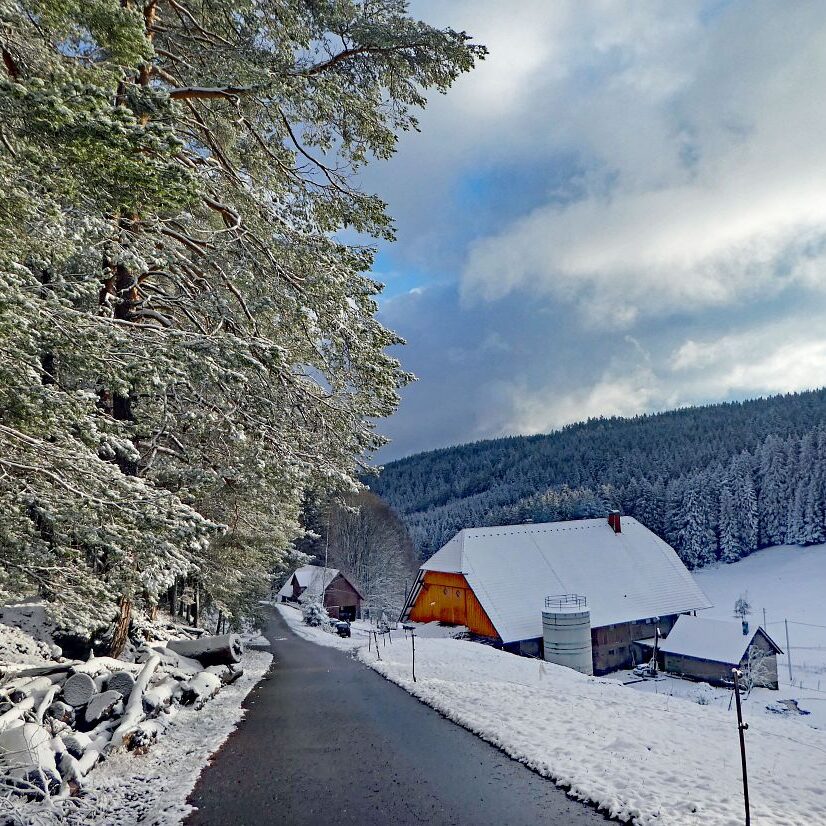 Tennenbronn Schnee Wolken Sonne 1