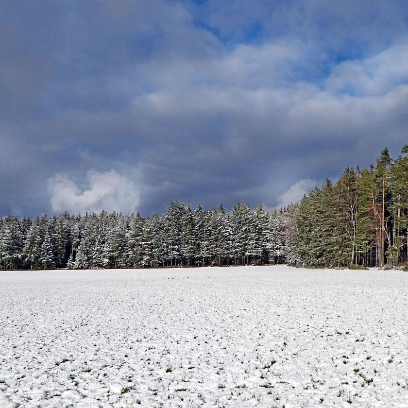 Tennenbronn Schnee Wolken Sonne 6